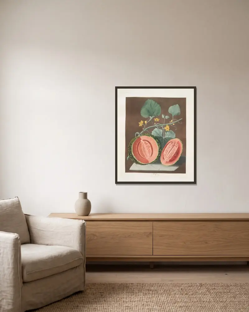 Scarlet flesh rock melon. av George Brookshaw inramad på en vägg