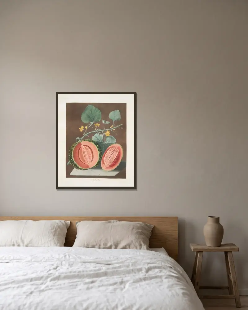 Scarlet flesh rock melon. av George Brookshaw inramad på en vägg