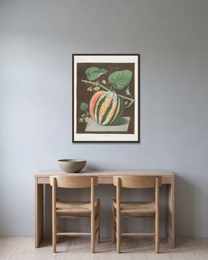 Scarlet flesh Romana melon. av George Brookshaw inramad på en vägg