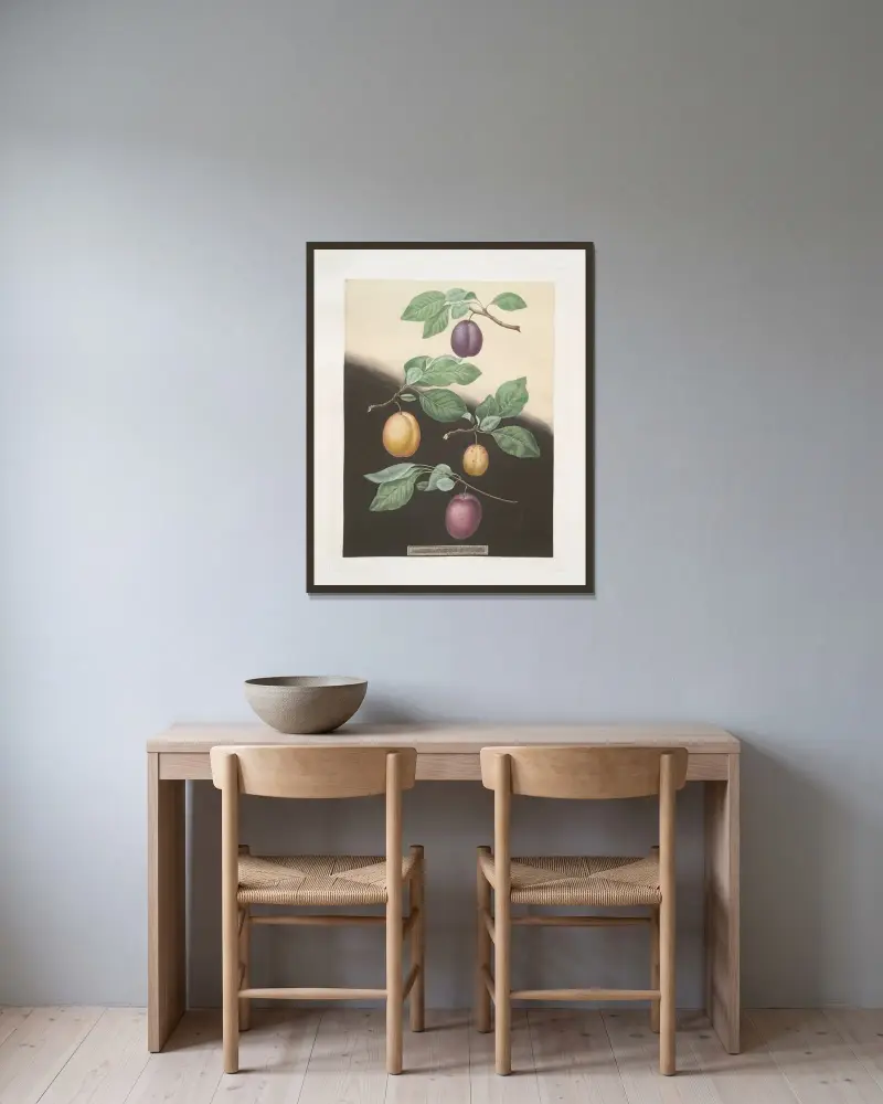 Semiana, Coe’s golden drop, White perdrigon and the [Late Imperial] plums. av George Brookshaw inramad på en vägg