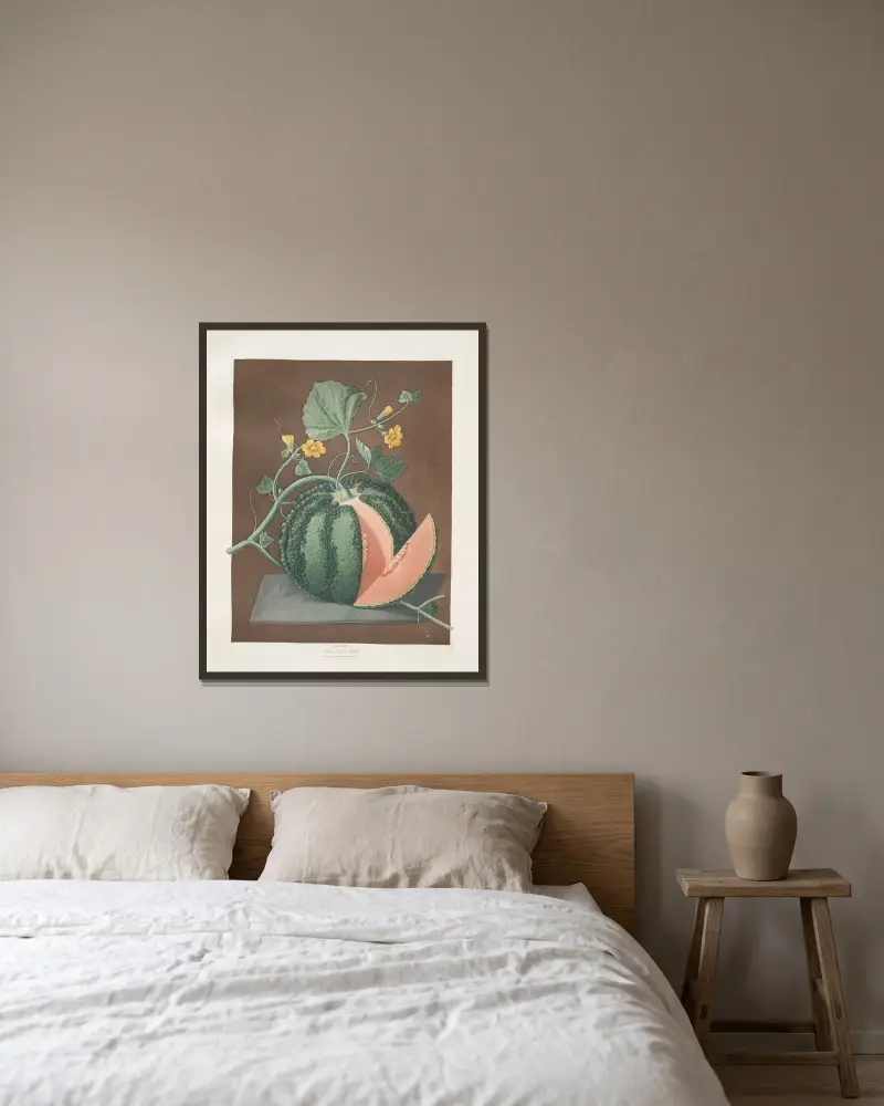 Silver rock melon. av George Brookshaw inramad på en vägg