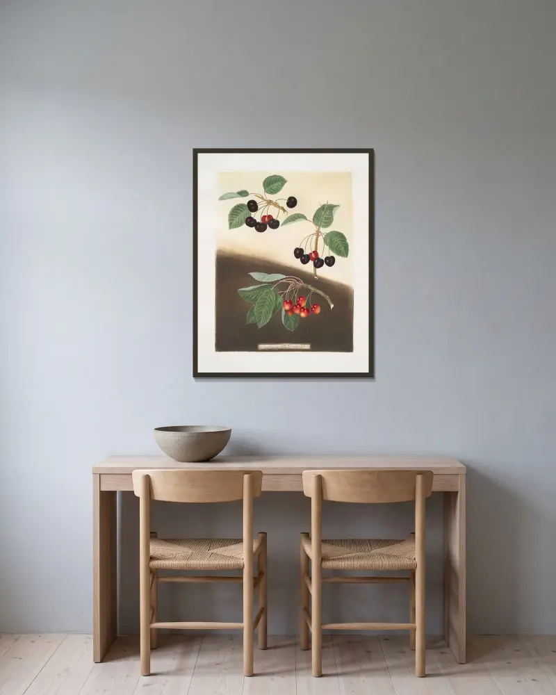 Tradescant, Millet’s and Amber-heart cherries. av George Brookshaw inramad på en vägg