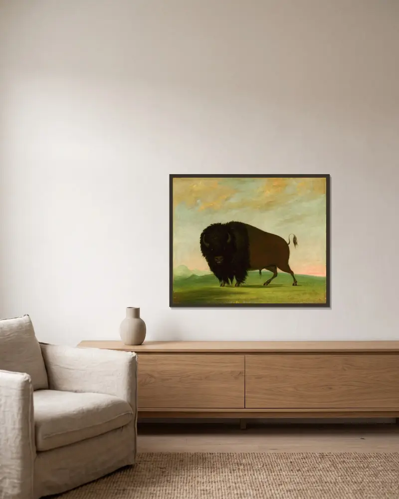 Buffeloxe, betande på prärien av George Catlin inramad på en vägg
