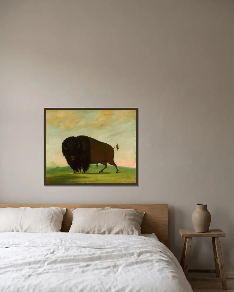 Buffeloxe, betande på prärien av George Catlin inramad på en vägg