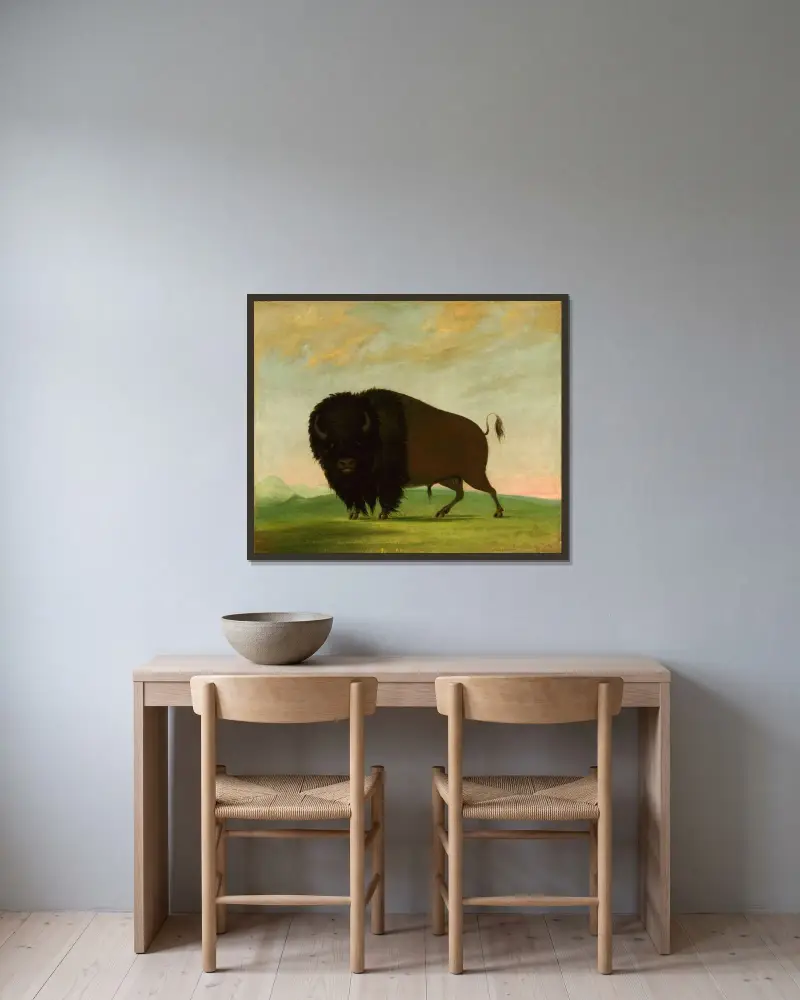Buffeloxe, betande på prärien av George Catlin inramad på en vägg