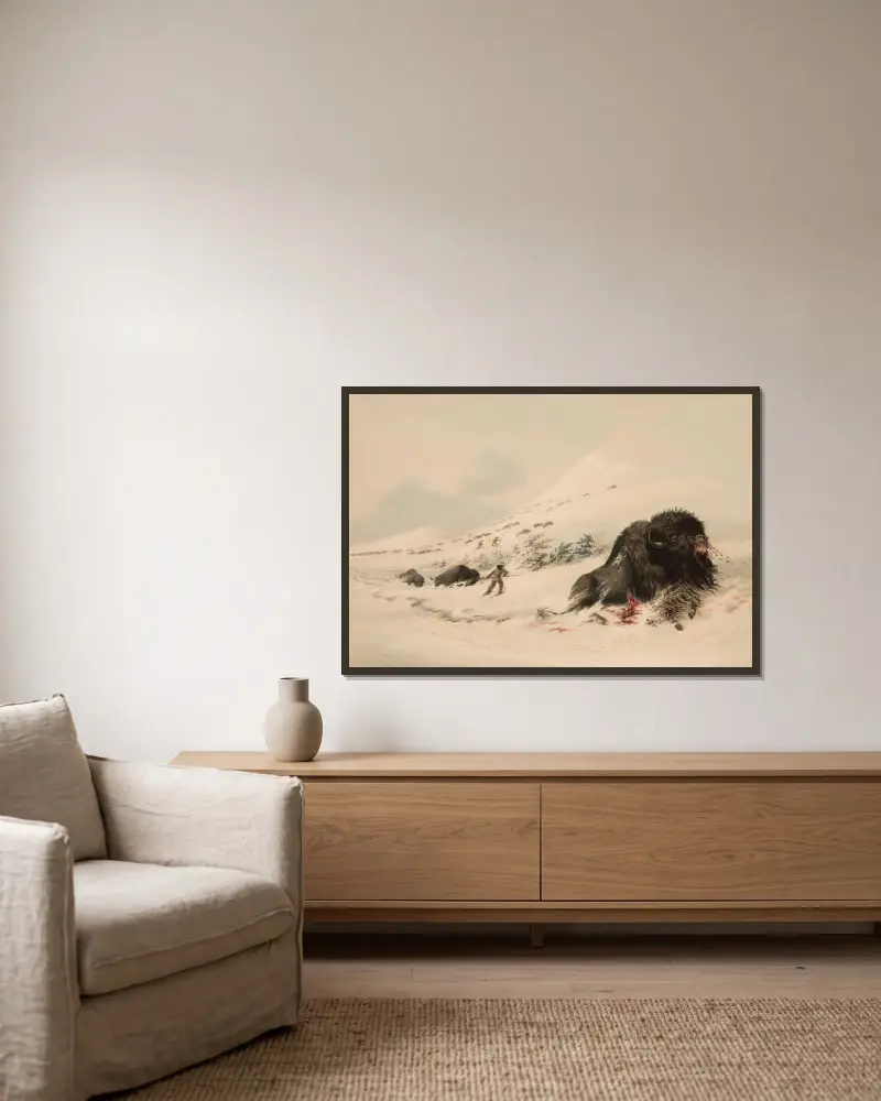Buffel, i snödriva av George Catlin inramad på en vägg