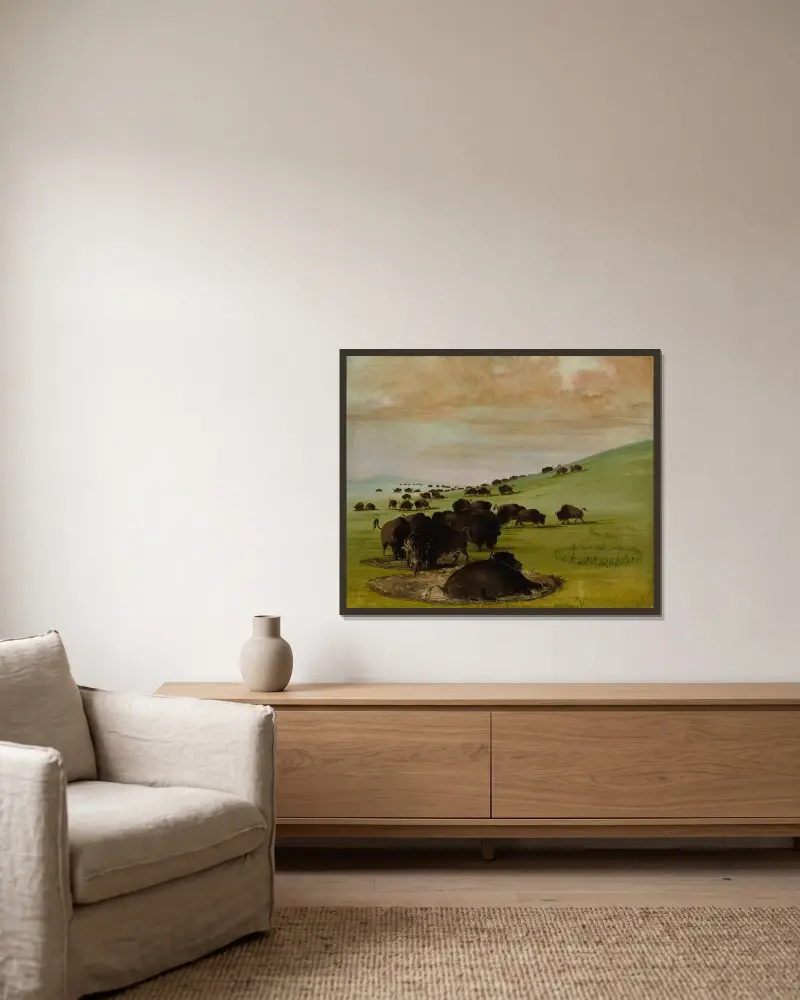 Buffalo Bulls in a Wallow av George Catlin inramad på en vägg