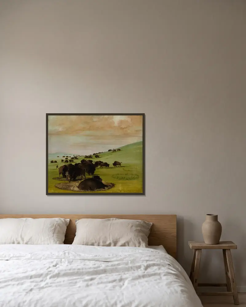 Buffalo Bulls in a Wallow av George Catlin inramad på en vägg