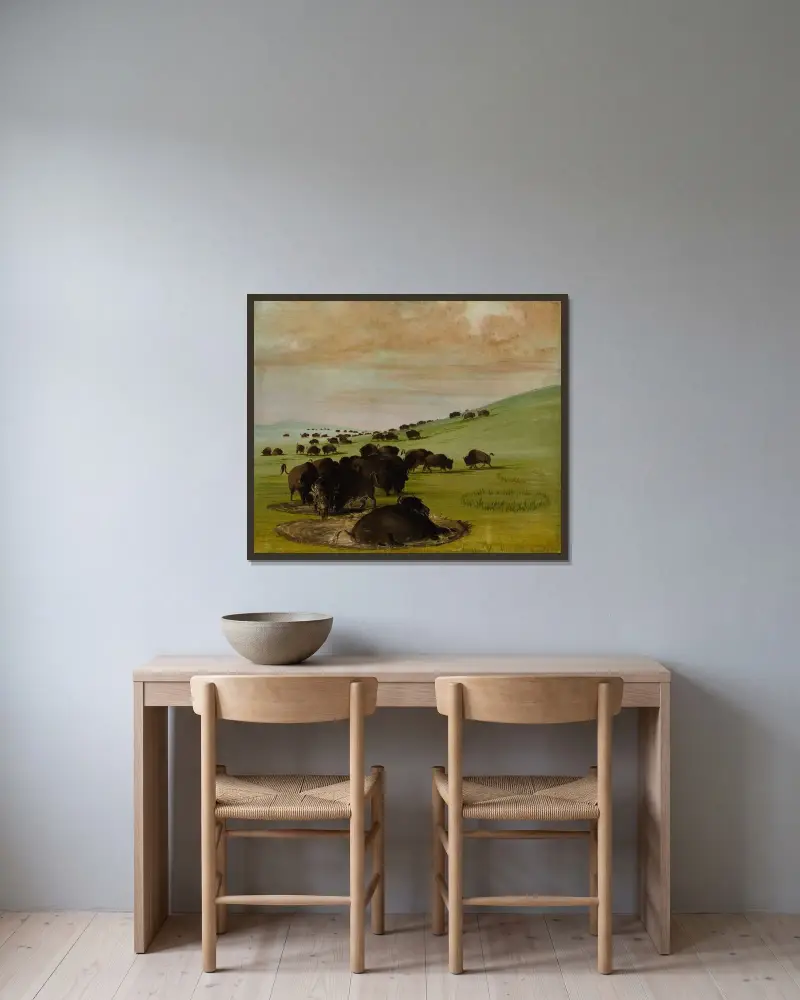 Buffalo Bulls in a Wallow av George Catlin inramad på en vägg