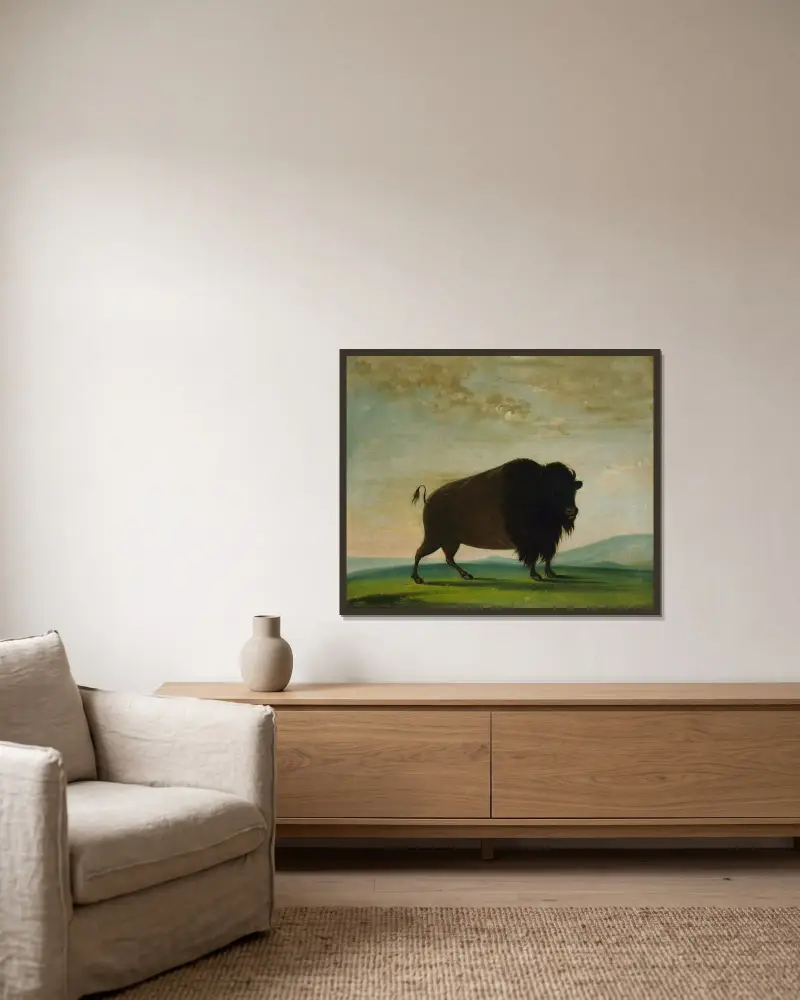 Buffelko, betande på prärien av George Catlin inramad på en vägg