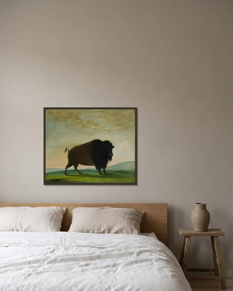Buffelko, betande på prärien av George Catlin inramad på en vägg