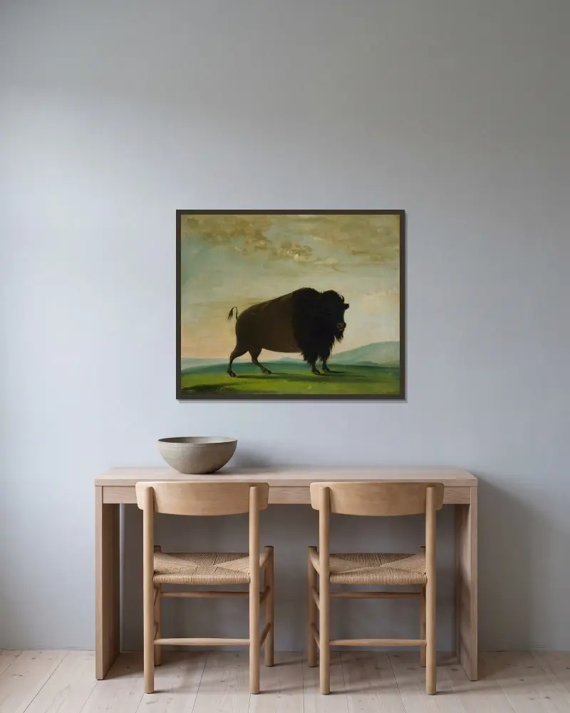 Buffelko, betande på prärien av George Catlin inramad på en vägg