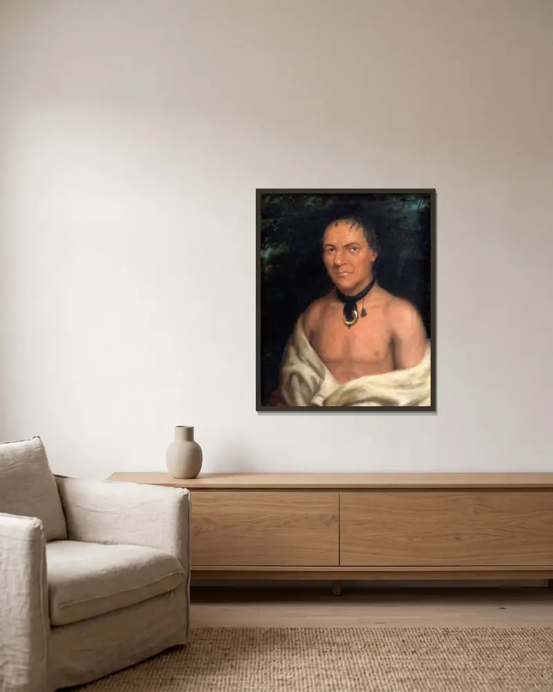 Co-Sne-Boin av George Catlin inramad på en vägg