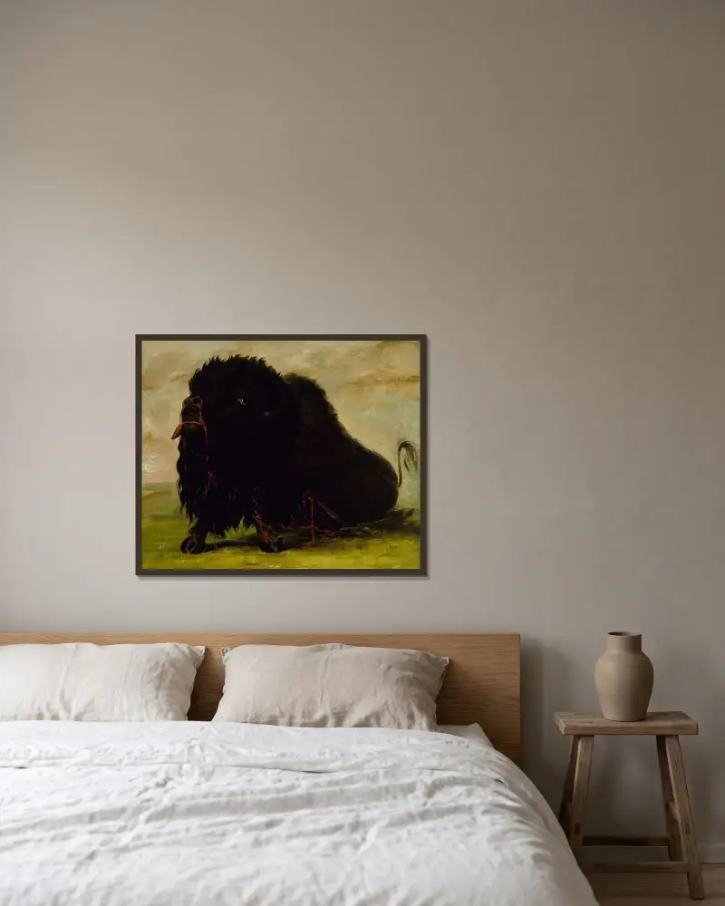 Döende bison, skjuten med pil av George Catlin inramad på en vägg