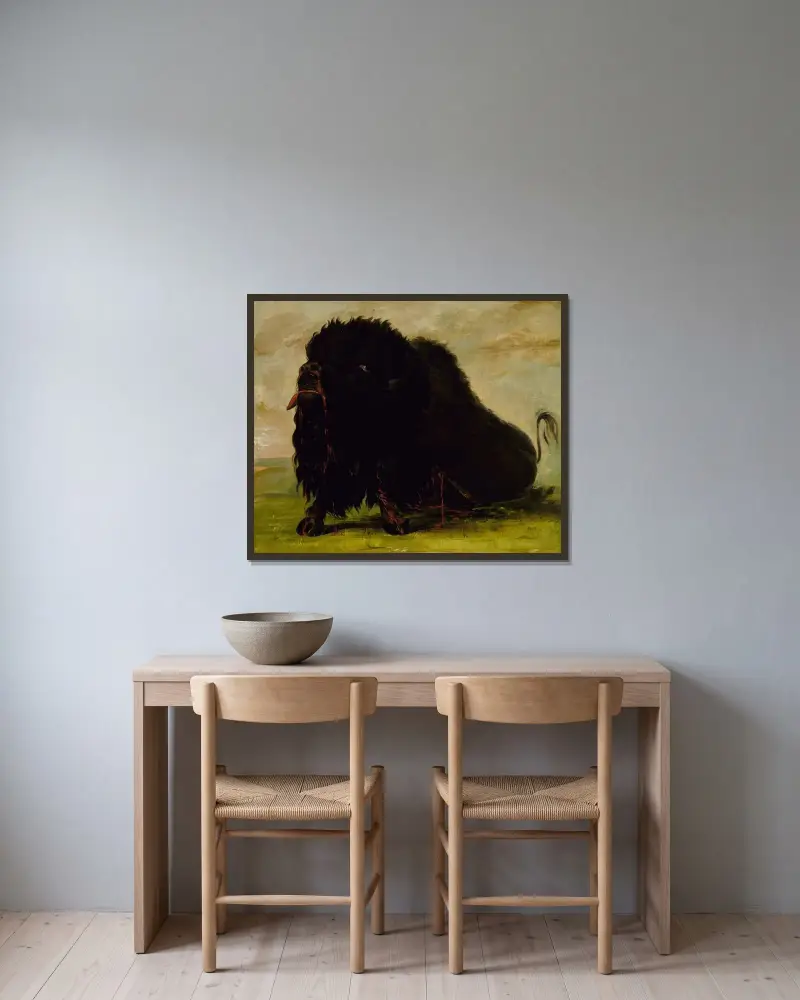 Döende bison, skjuten med pil av George Catlin inramad på en vägg