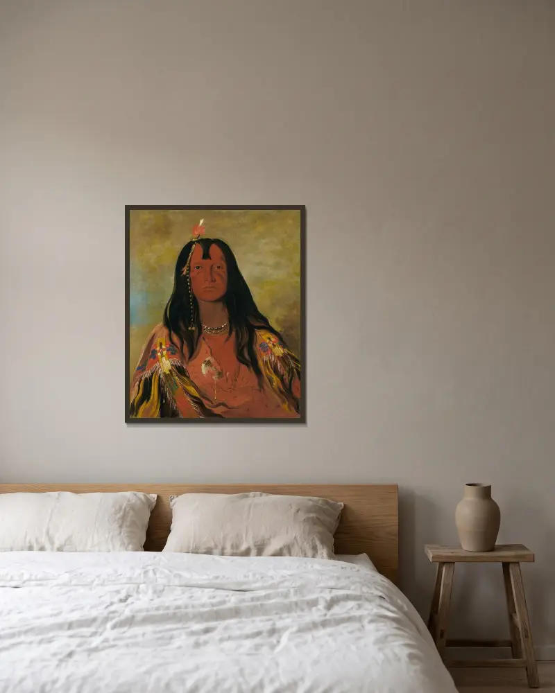 H’co-A-H’co-A-H’cotes-Min, No Horns On His Head, a Brave von George Catlin gerahmt an einer Wand