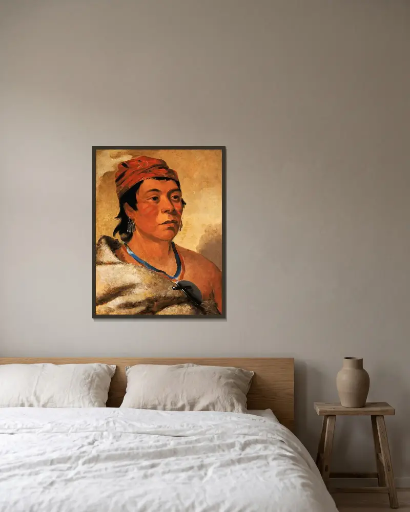 Round Island, a Warrior av George Catlin inramad på en vägg