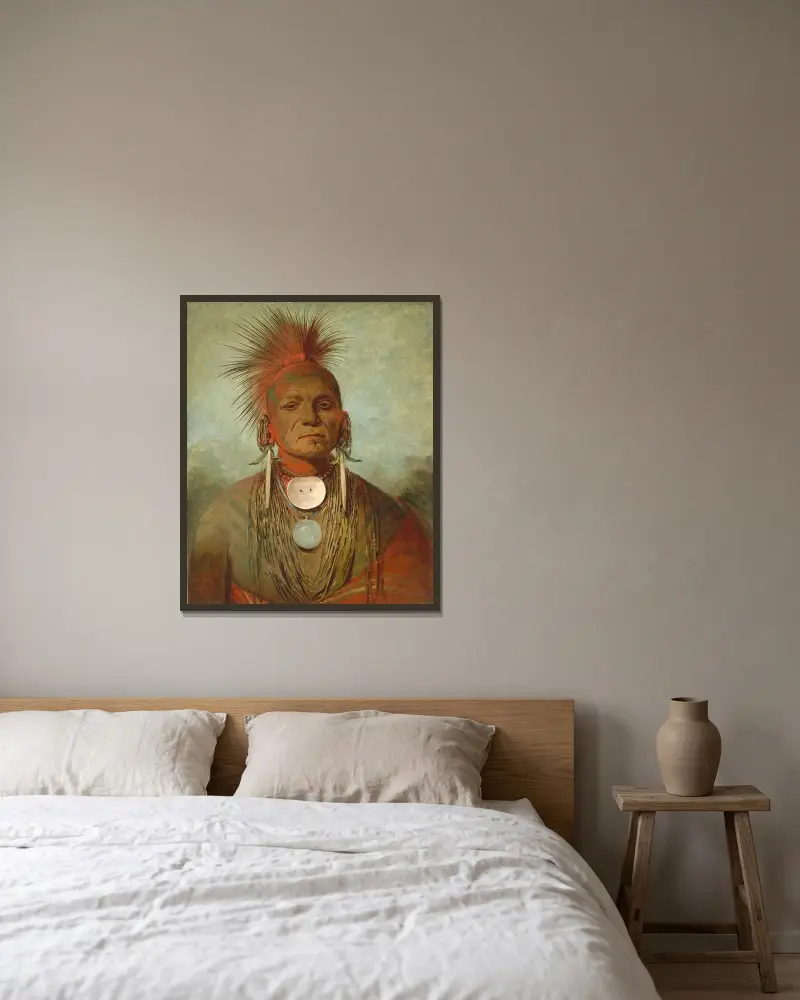 See-non-ty-a, an Iowa Medicine Man av George Catlin inramad på en vägg