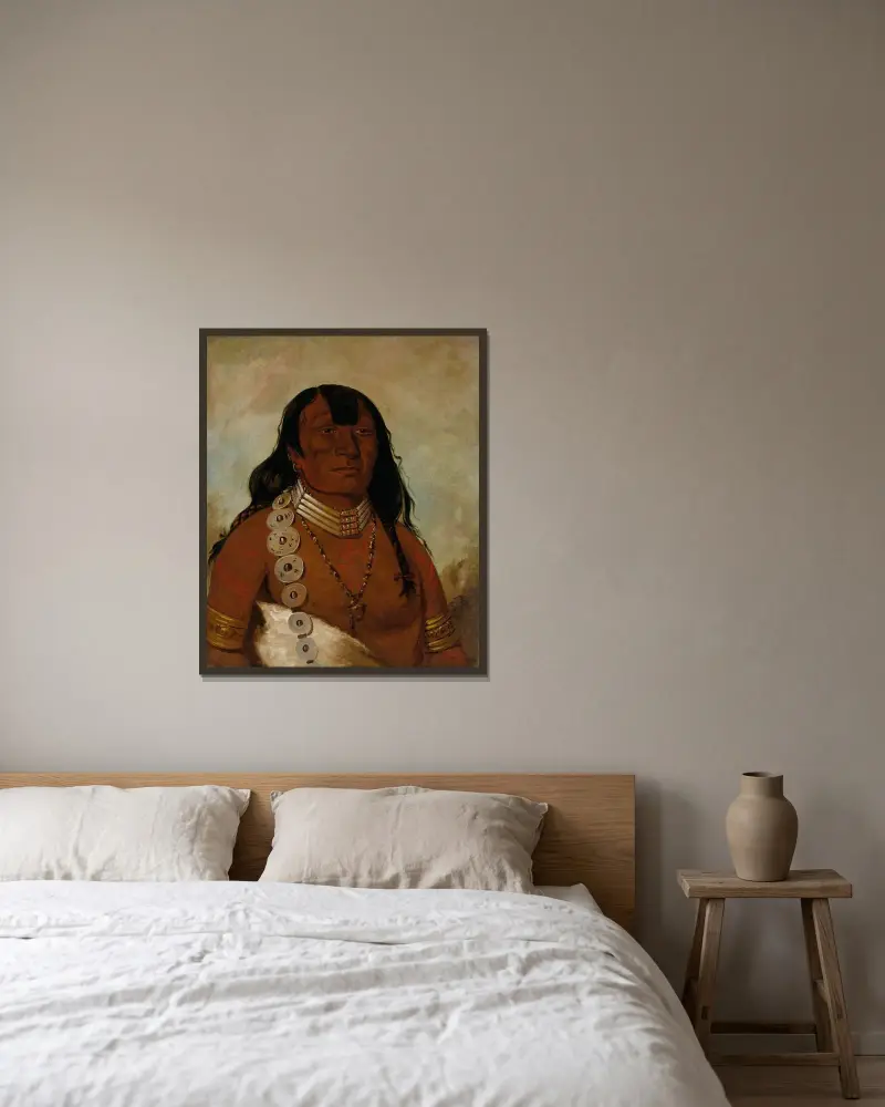 Téh-Tóot-Sah (även känd som Tohausen, Little Bluff), förste hövding av George Catlin inramad på en vägg