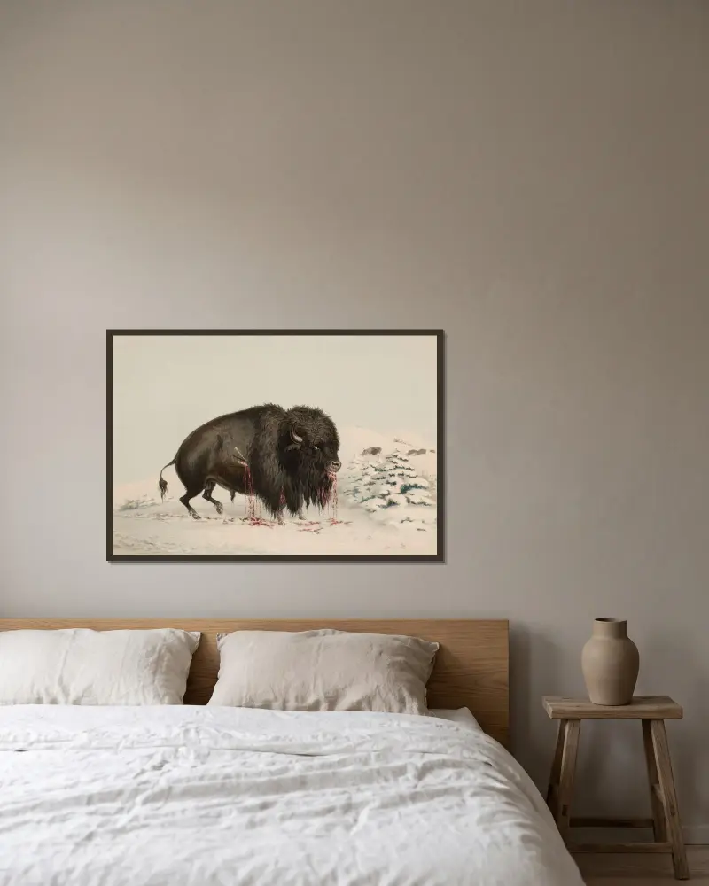 Sårad buffel av George Catlin inramad på en vägg