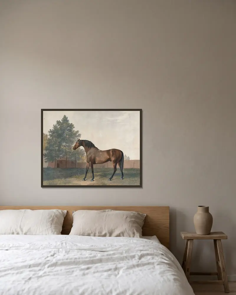 Städ av George Stubbs inramad på en vägg