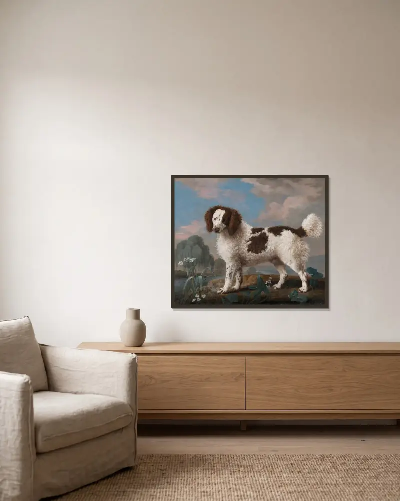 Brun och vit norfolk- eller vattenspaniel av George Stubbs inramad på en vägg