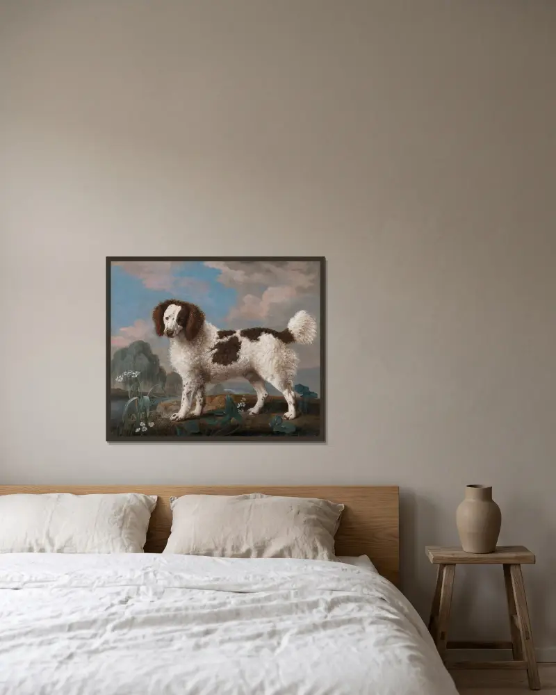 Brun och vit norfolk- eller vattenspaniel av George Stubbs inramad på en vägg
