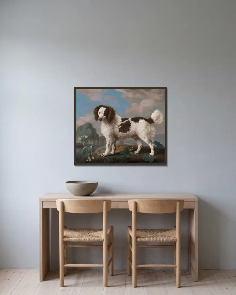 Brun och vit norfolk- eller vattenspaniel av George Stubbs inramad på en vägg