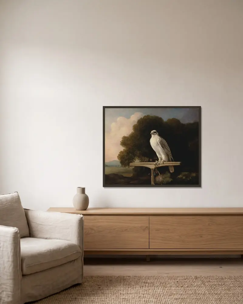 Grönländsk falk av George Stubbs inramad på en vägg