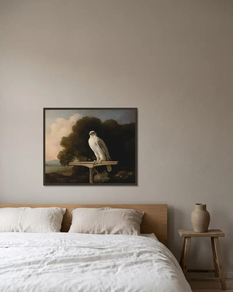 Grönländsk falk av George Stubbs inramad på en vägg