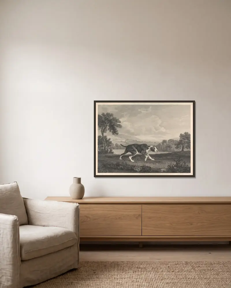 Španělský ohař, George Stubbs v rámu na stěně