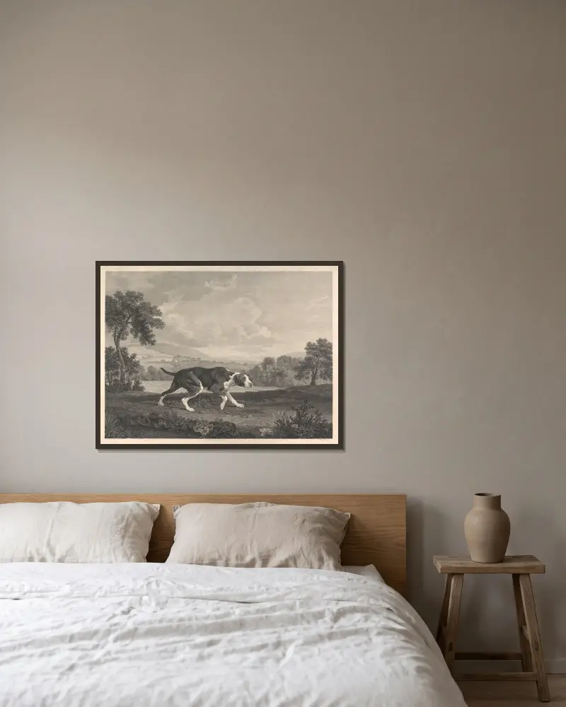 Španělský ohař, George Stubbs v rámu na stěně