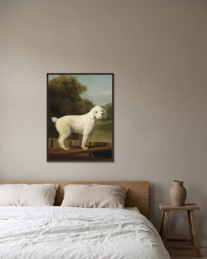 White Poodle in a Punt av George Stubbs inramad på en vägg