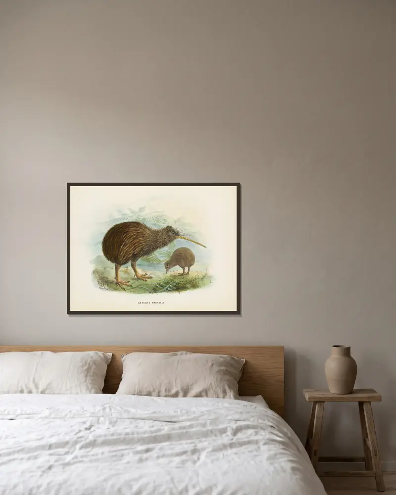 Apteryx mantellii av John Gerrard Keulemans inramad på en vägg