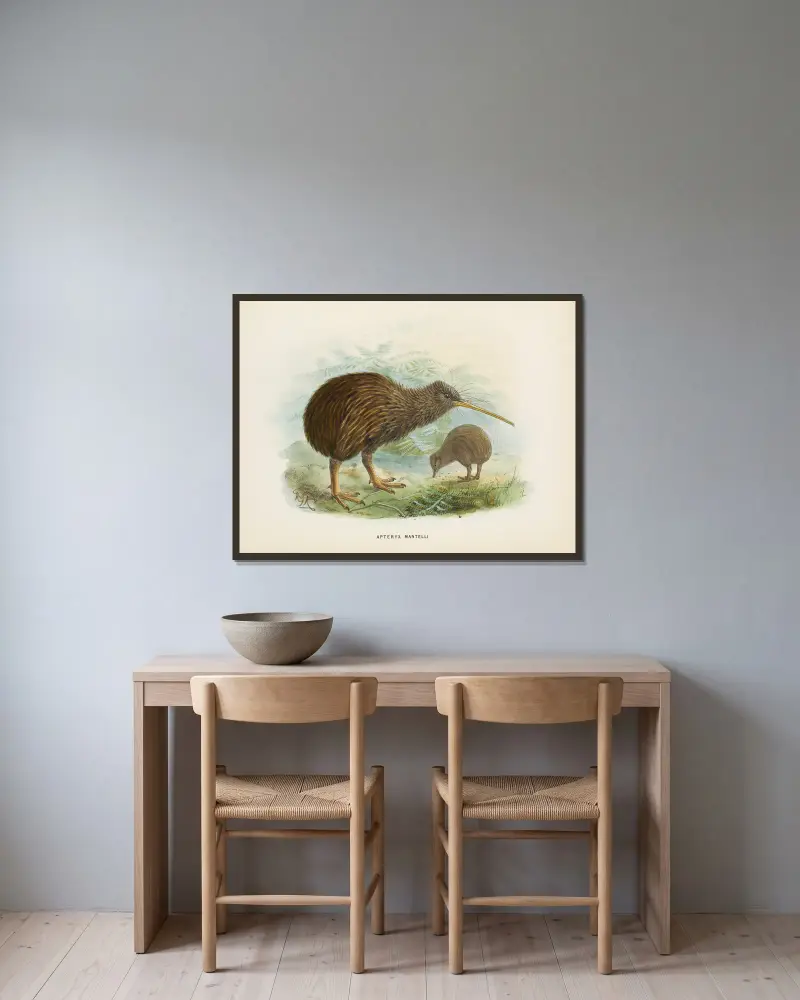 Apteryx mantellii av John Gerrard Keulemans inramad på en vägg