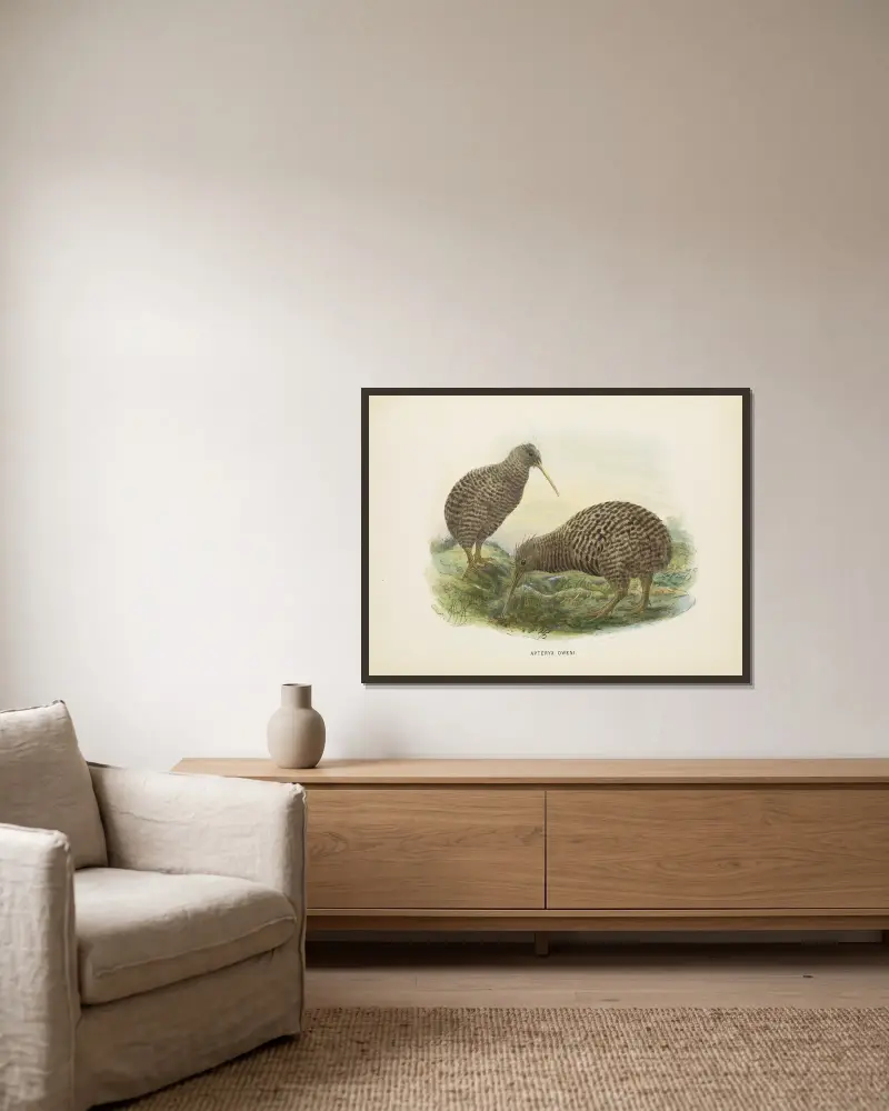 Apteryx oweni von John Gerrard Keulemans gerahmt an einer Wand