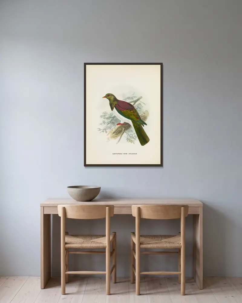 Carpophaga novae zealandiae av John Gerrard Keulemans inramad på en vägg