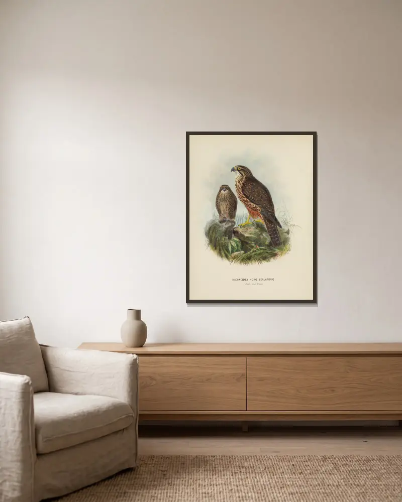 Hieracidea Novae Zealandiae (Adult and Young) av John Gerrard Keulemans inramad på en vägg