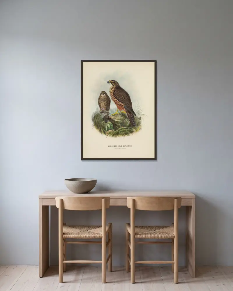 Hieracidea Novae Zealandiae (Adult and Young) av John Gerrard Keulemans inramad på en vägg