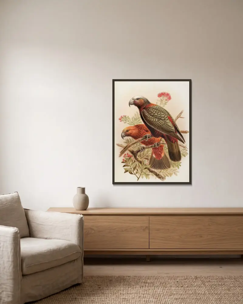 Kaka-papegoja och varieteten ’Kaka-kura’. Nestor Meridionalis av John Gerrard Keulemans inramad på en vägg