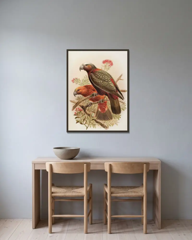 Kaka-papegoja och varieteten ’Kaka-kura’. Nestor Meridionalis av John Gerrard Keulemans inramad på en vägg