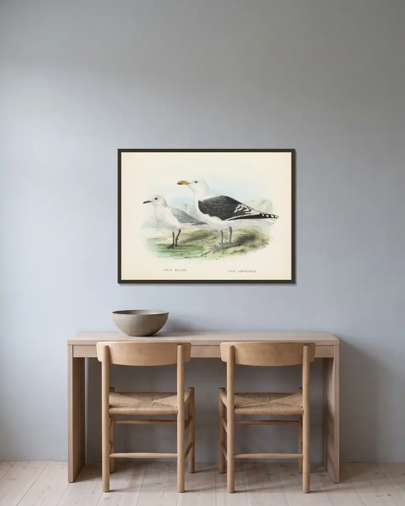 Larus bulleri and Larus dominicanus av John Gerrard Keulemans inramad på en vägg