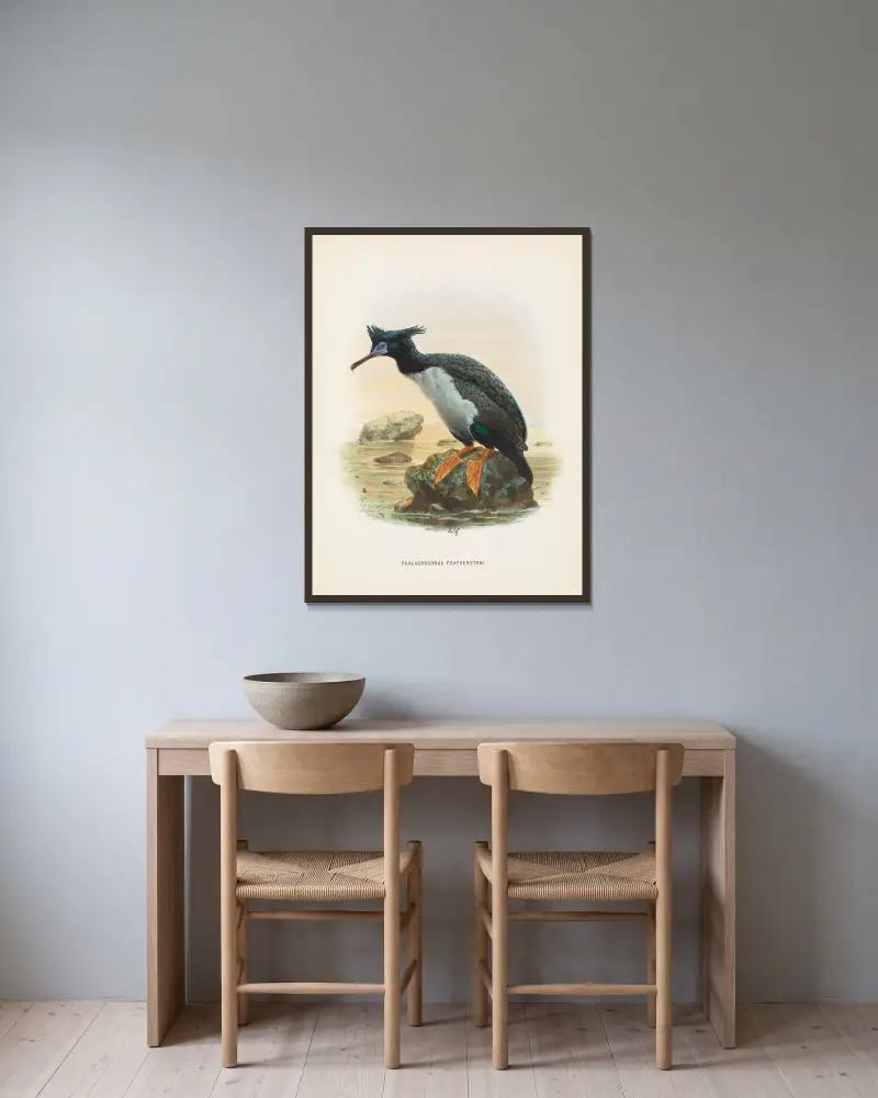 Phalacrocorax featherstoni, John Gerrard Keulemans w ramie na ścianie