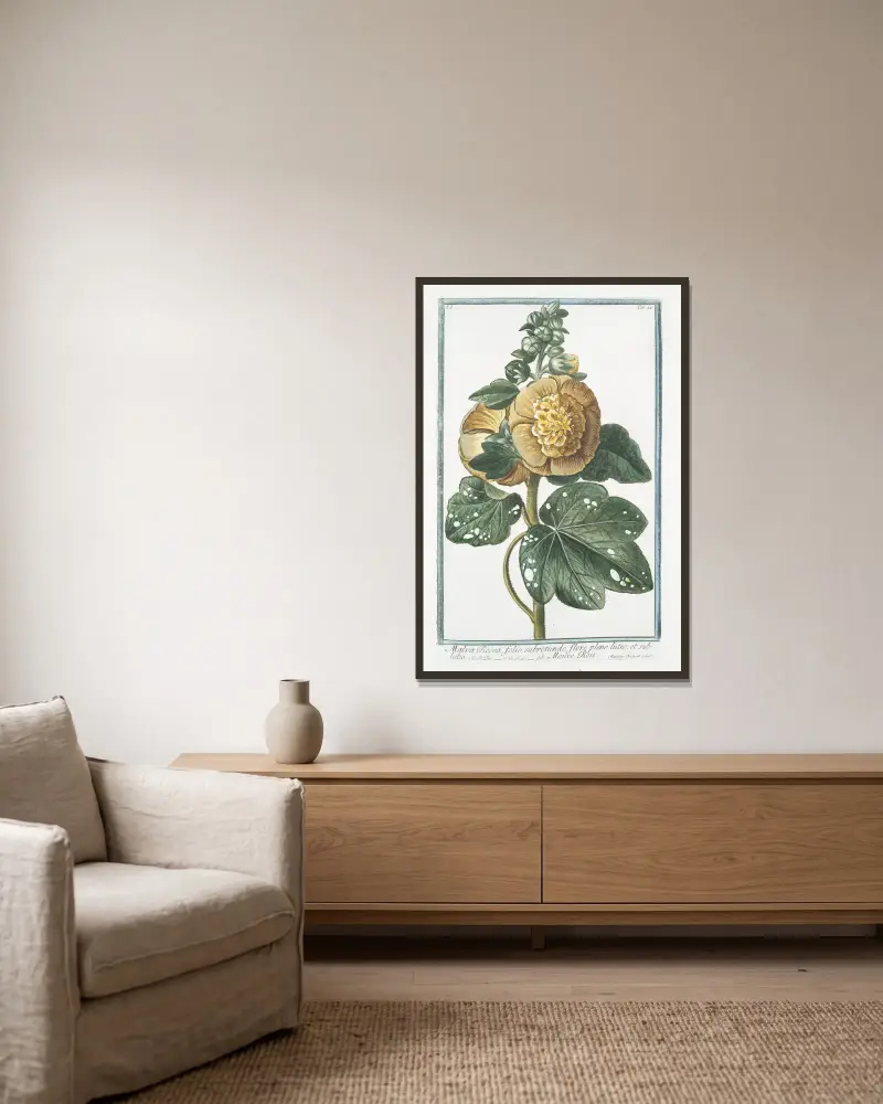 Malva Rosea, folio subrotundo, flore pleno luteo; et subluteo – Rosen-Malve von Giorgio Bonelli gerahmt an einer Wand
