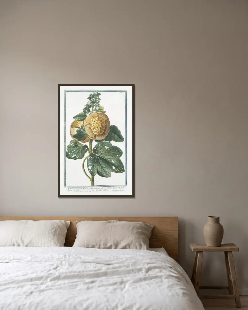 Malva Rosea, folio subrotundo, flore pleno luteo; et subluteo – Rosen-Malve von Giorgio Bonelli gerahmt an einer Wand