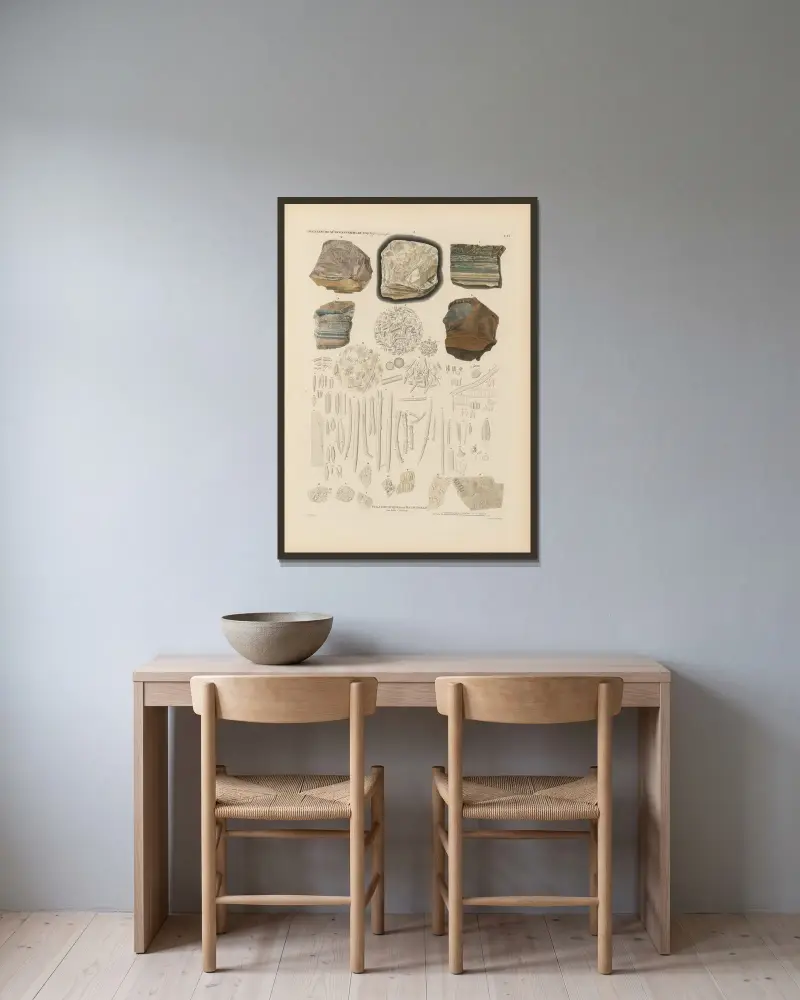 Mikrogeologie Taf. 11 von Christian Gottfried Ehrenberg gerahmt an einer Wand