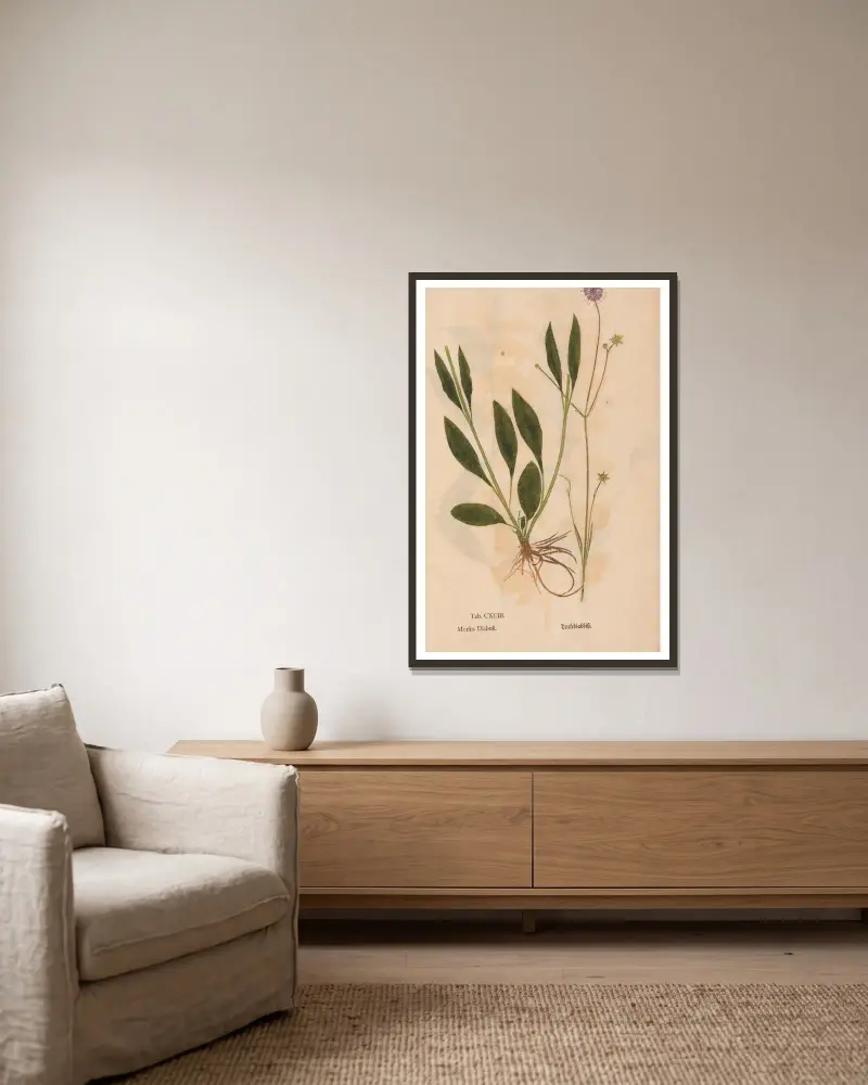 Ectypa vegetabilium Pl. 193 von Christian Gottlieb Ludwig gerahmt an einer Wand