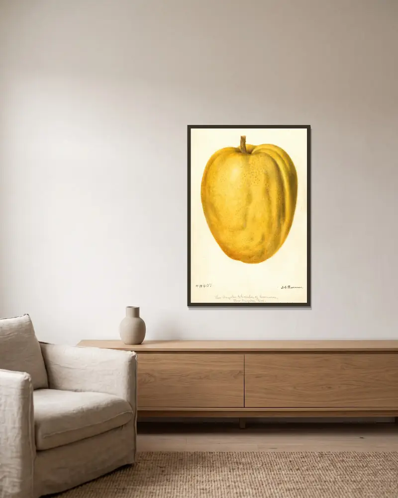 Citrus medica: Citron of Commerce, 1896 – nr 2 av Deborah Griscom Passmore inramad på en vägg