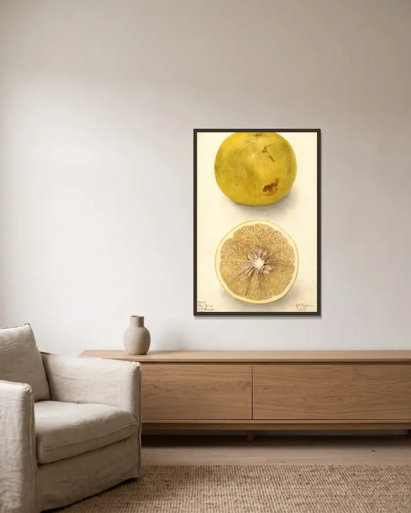 Citrus paradisi: Ellen, Deborah Griscom Passmore w ramie na ścianie