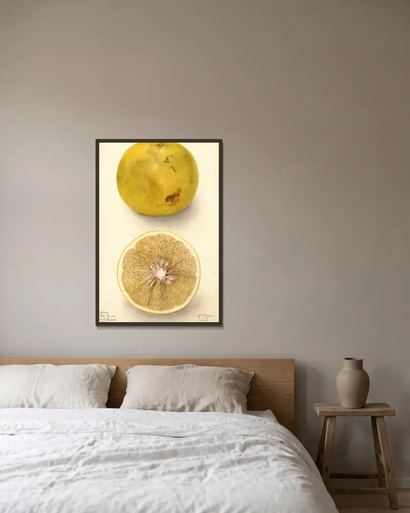 Citrus paradisi: Ellen, Deborah Griscom Passmore w ramie na ścianie